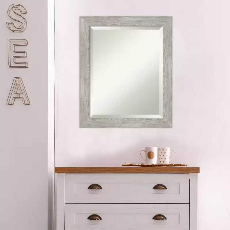 Specchio da parete stretto Dove 20" x 24" con cornice grigia - Amanti Art: Smussato, cornice in polistirene, nessun assemblaggio richiesto