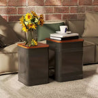 HOMCOM Pouf Contenitore Set da 2, Sgabello Ottomano Industriale Nido d'Ape con Coperchio Rimovibile e Struttura in Metallo, Tavolino per Soggiorno, Nero