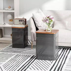 HOMCOM Pouf Contenitore Set da 2, Sgabello Ottomano Industriale Nido d'Ape con Coperchio Rimovibile e Struttura in Metallo, Tavolino per Soggiorno, Nero