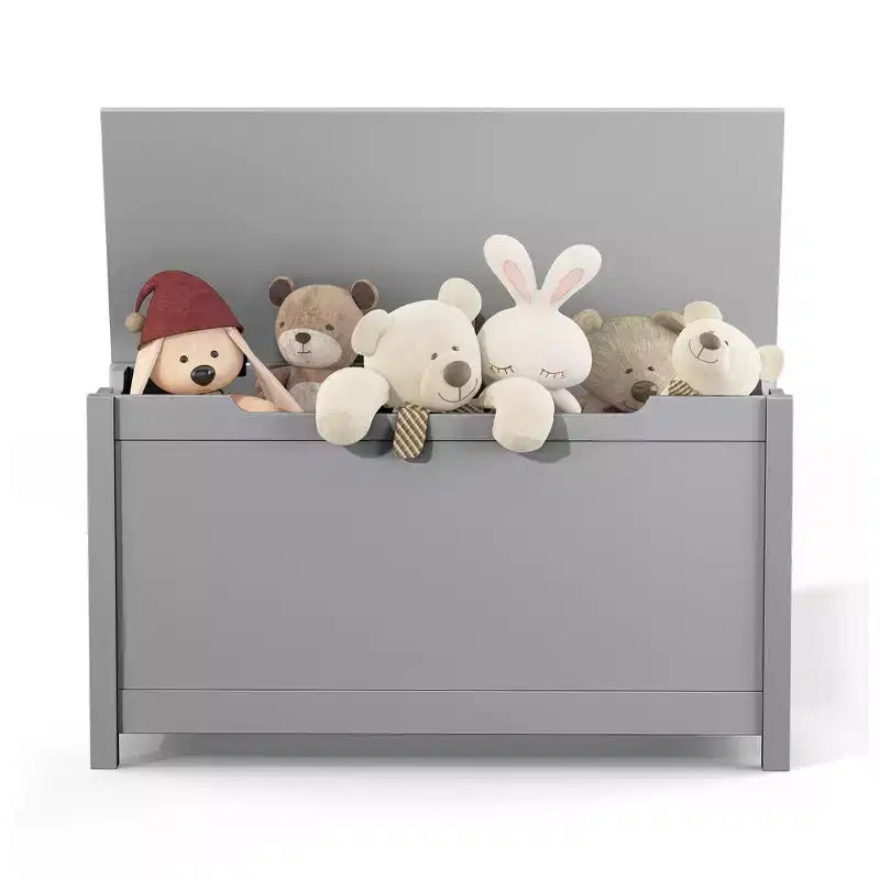 Whisen Kids Contenitore Porta Giocattoli, Mobili Contenitori Utility con Coperchio a Cerniera di Sicurezza per Bambini dai 2 Anni in su, Montaggio Rapido