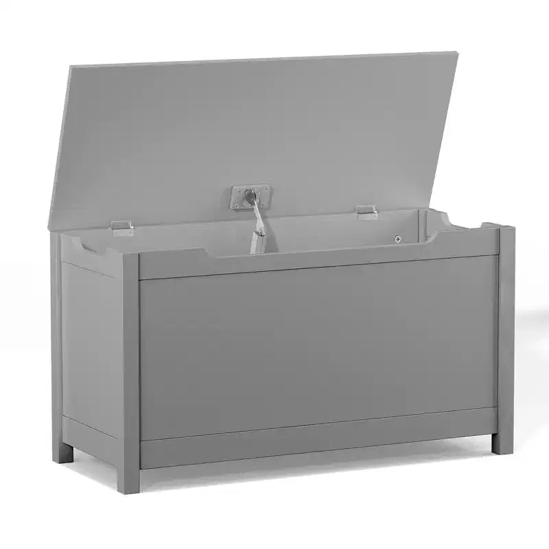 Whisen Kids Contenitore Porta Giocattoli, Mobili Contenitori Utility con Coperchio a Cerniera di Sicurezza per Bambini dai 2 Anni in su, Montaggio Rapido