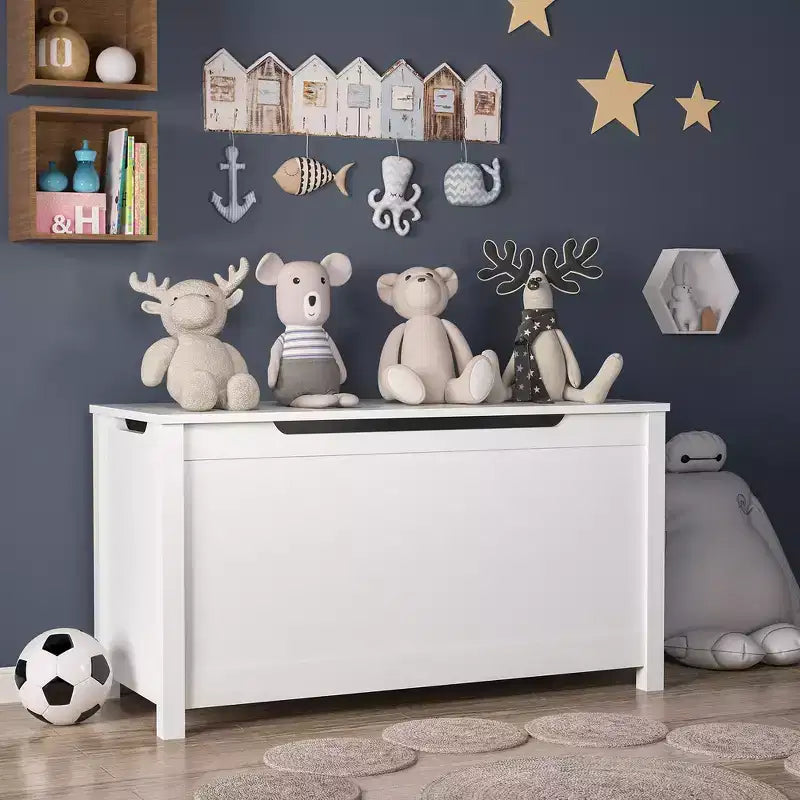 Whisen Kids Contenitore Porta Giocattoli, Mobili Contenitori Utility con Coperchio a Cerniera di Sicurezza per Bambini dai 2 Anni in su, Montaggio Rapido