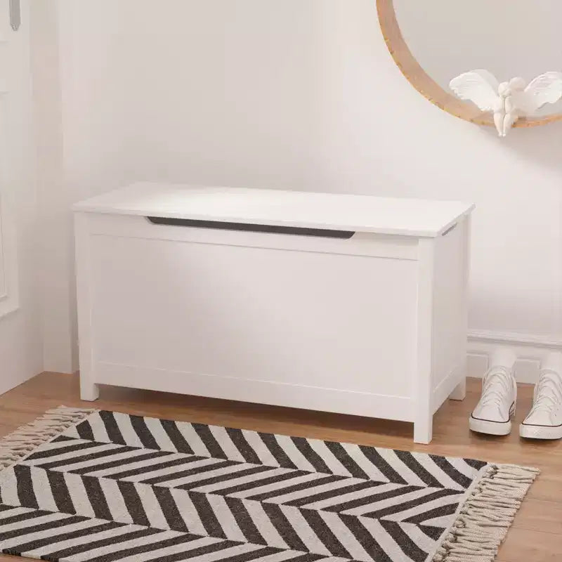 Whisen Kids Contenitore Porta Giocattoli, Mobili Contenitori Utility con Coperchio a Cerniera di Sicurezza per Bambini dai 2 Anni in su, Montaggio Rapido
