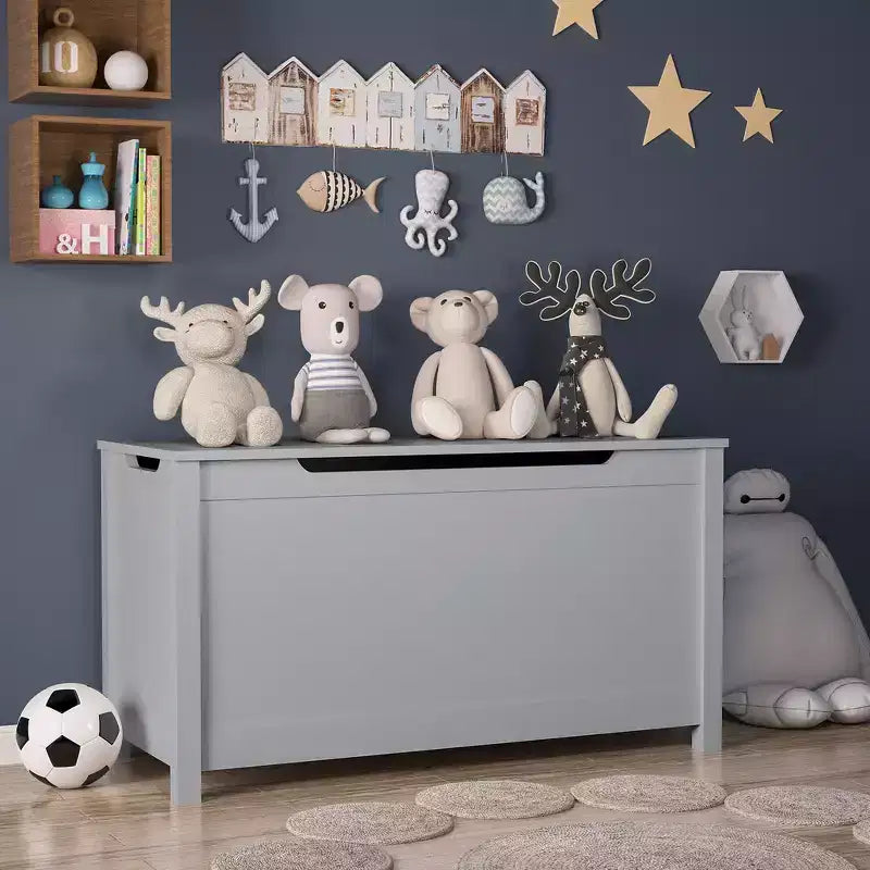 Whisen Kids Contenitore Porta Giocattoli, Mobili Contenitori Utility con Coperchio a Cerniera di Sicurezza per Bambini dai 2 Anni in su, Montaggio Rapido