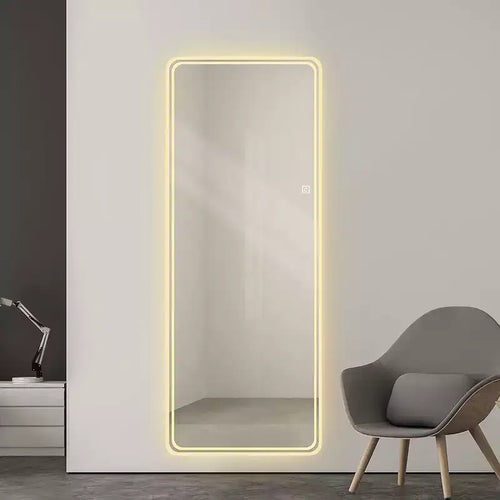 Specchio da parete a figura intera 65 x 24 pollici Specchio LED con oscuramento e illuminazione a 3 colori adatto per camere da letto e spogliatoi