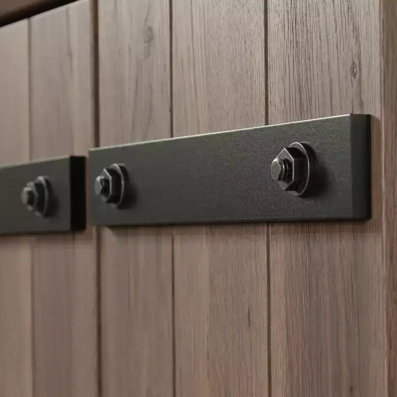Sauder Homeplus Armadietto Rustico a 2 Ante Rovere Salt: Ripiani Regolabili Laminati, Struttura in MDF