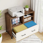 Armadietto Archivio con Cassetto, Formato Letter/Letter/A4, Asta Regolabile